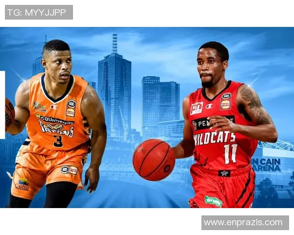 波斯野猫与坎斯大班的精彩对决与生存智慧探讨